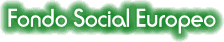 tfse.gif (2821 bytes)