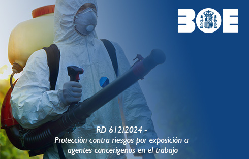 BOE-web_seccion
